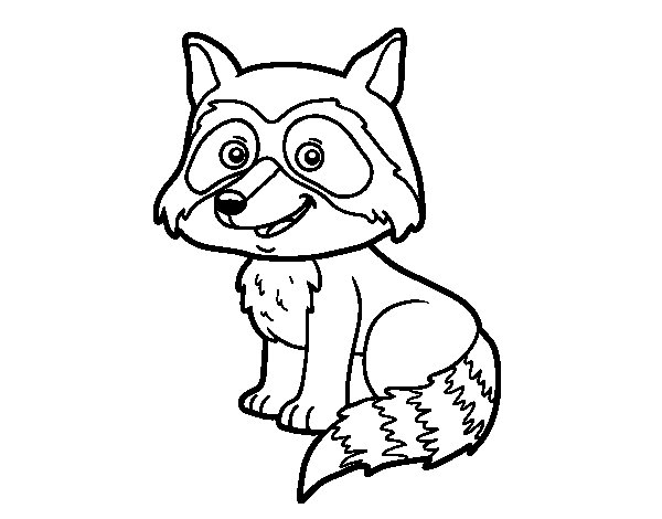 raccoon coloring pages to print out - photo #42