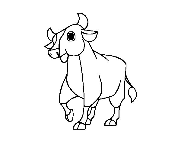 calf coloring pages - photo #37