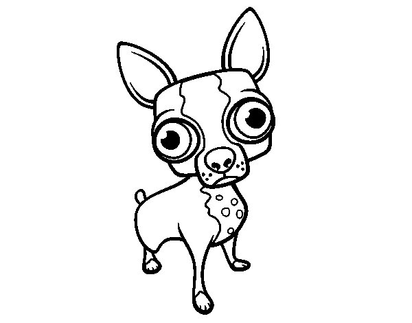 teacup chihuahua coloring pages - photo #12