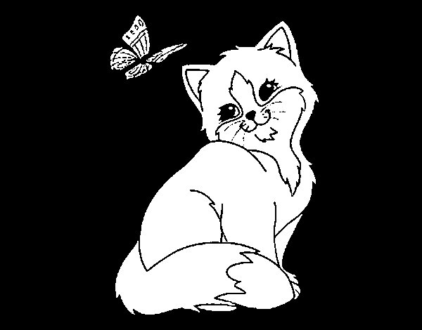 Kitten and Butterfly coloring page - Coloringcrew.com