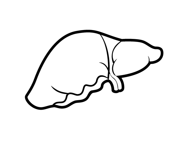 gallbladder coloring pages - photo #11